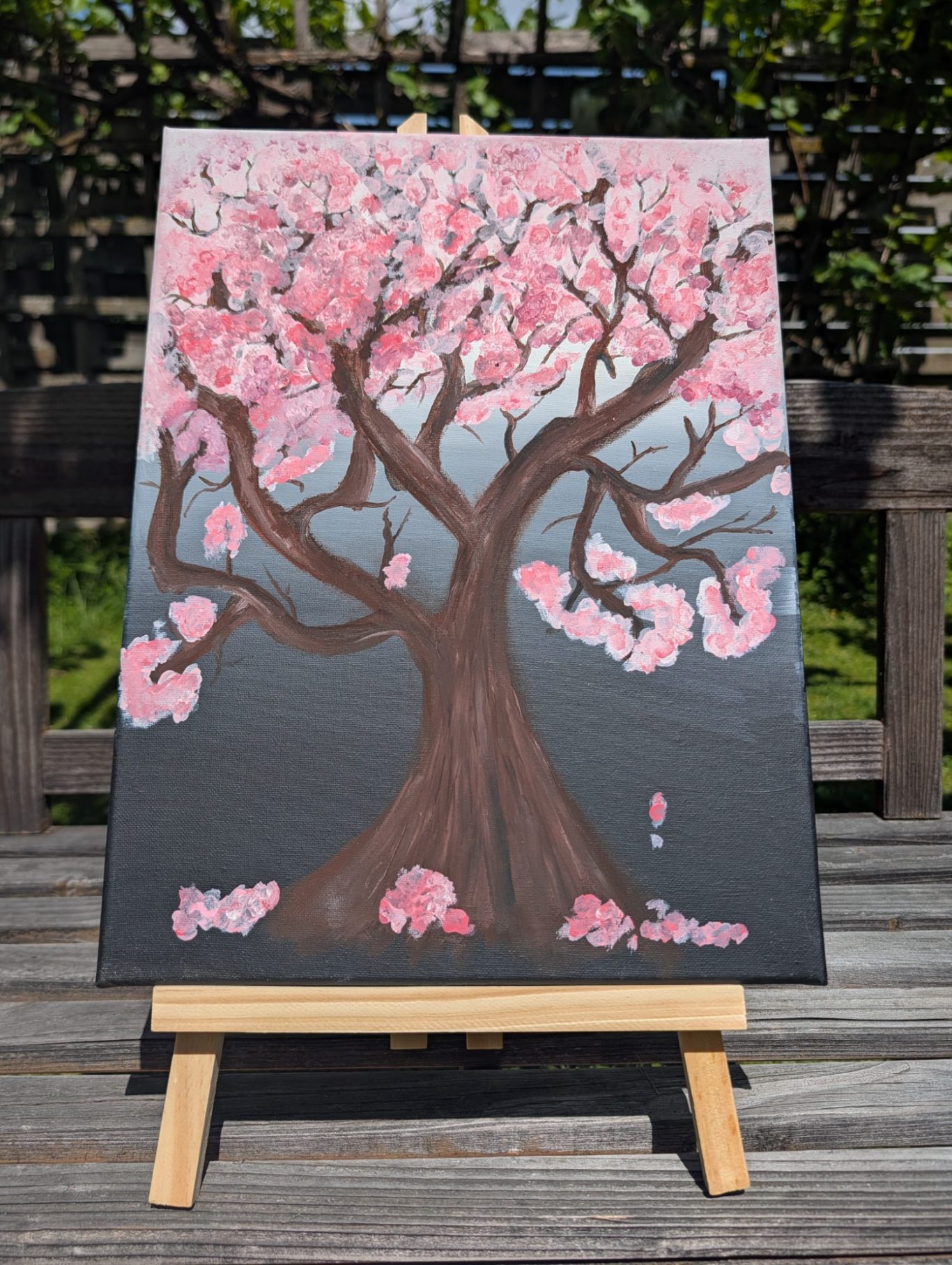 Kirschbaum Blüte Blühender Kirschbaum vor einem grauen Hintergrund mit rosa Blüten.